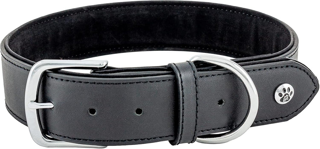 Pet Collection Padded Cute Dog Collar, Leather Dog Collar for Small Dogs, Black, Extra Large