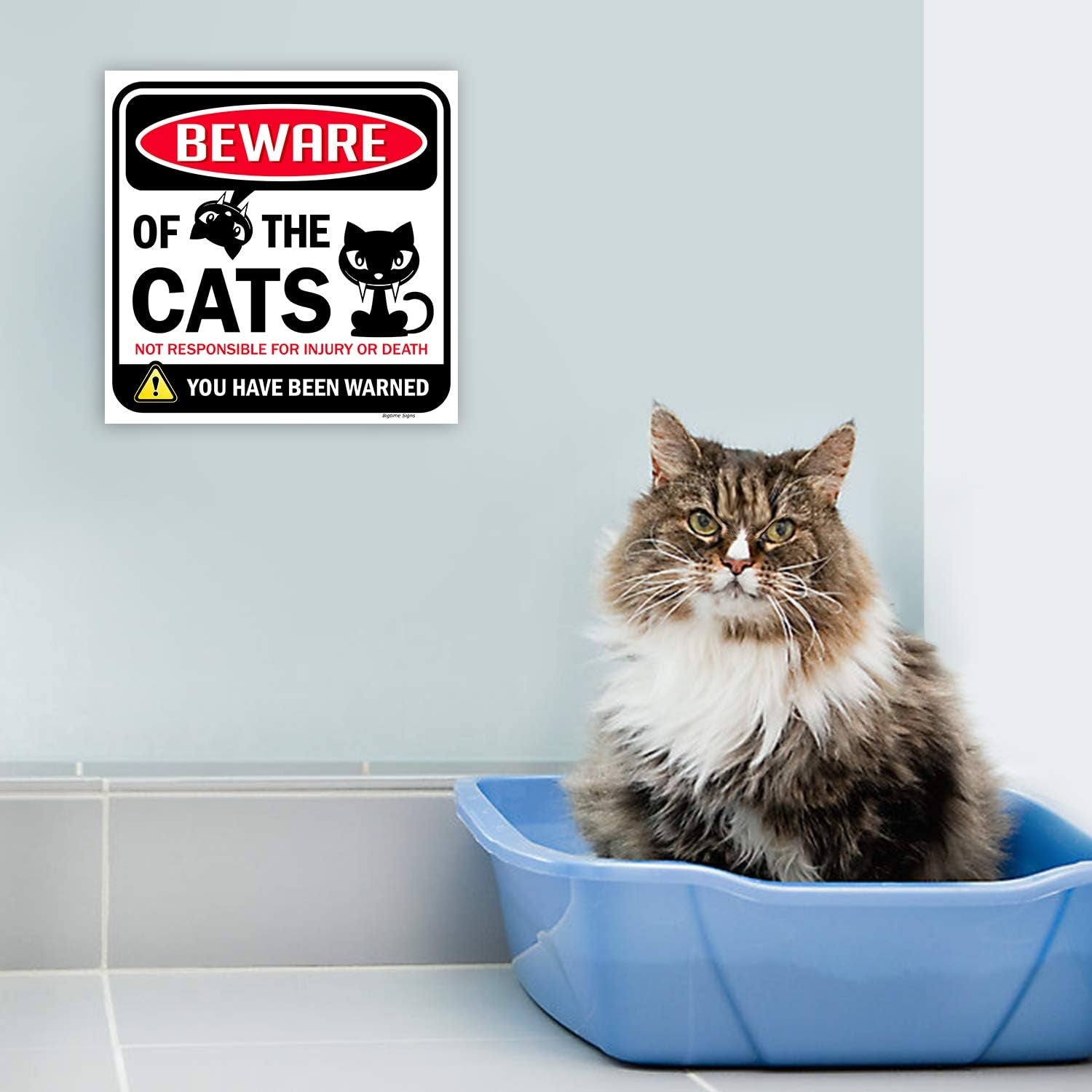 Beware of Cats Sign – Funny Cat Decor for Indoor and Outdoor Use, Window, Office, Bedroom Décor, Gag Gift for Cat Lovers and Decorations