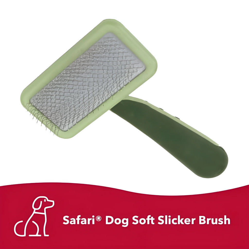 Safari Dog Soft Slicker Brush - Dog Grooming Brush for Shedding - for Dogs with Short, Medium and Long Hair - Small - 6.5" X 2.5"