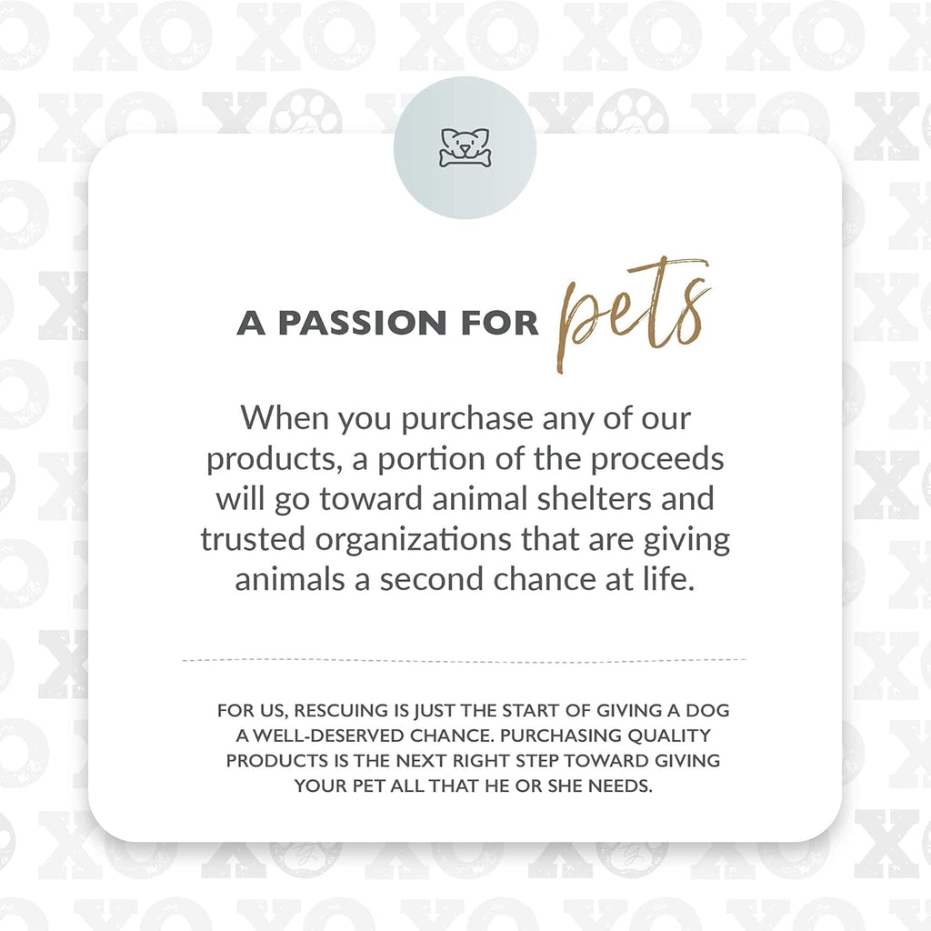 Pet Collection Padded Cute Dog Collar, Leather Dog Collar for Small Dogs, Black, Extra Large