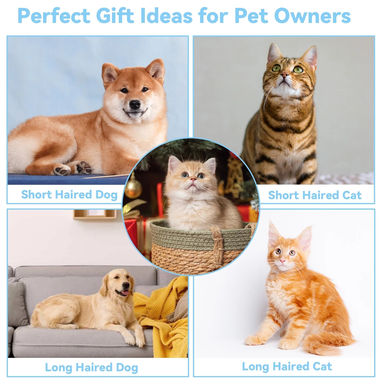 Cat & Dog Grooming Brush – Self-Cleaning Slicker Brush for Shedding, Removes Loose Fur & Tangles, Gentle & Skin-Friendly, Perfect for All Coat Types – Blue