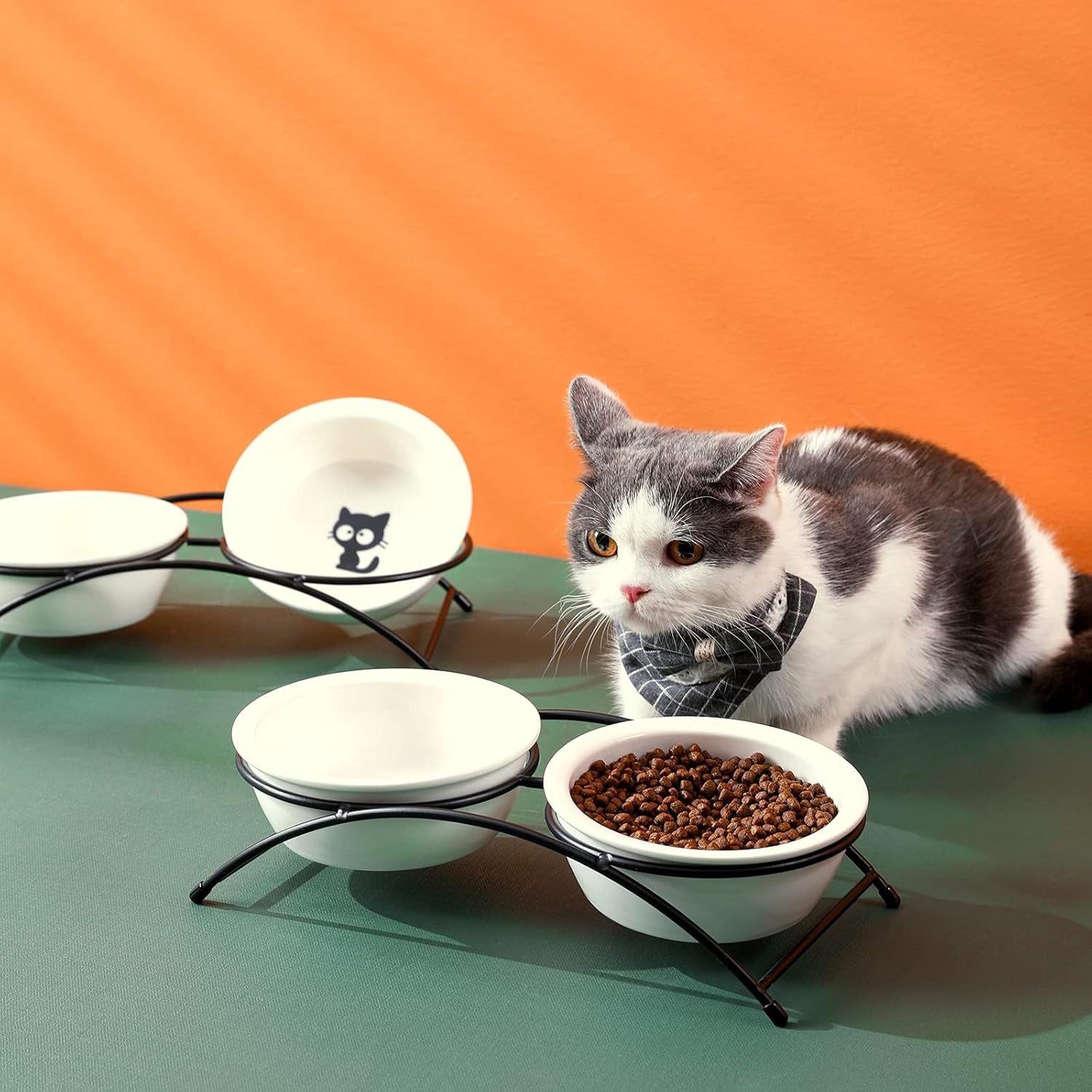 Cat Bowls,Dog Bowls,Ceramic Elevated Pet Raised Cat Food Bowls Set,12 Ounce Cat Bowls with Stand,Dishwasher Safe