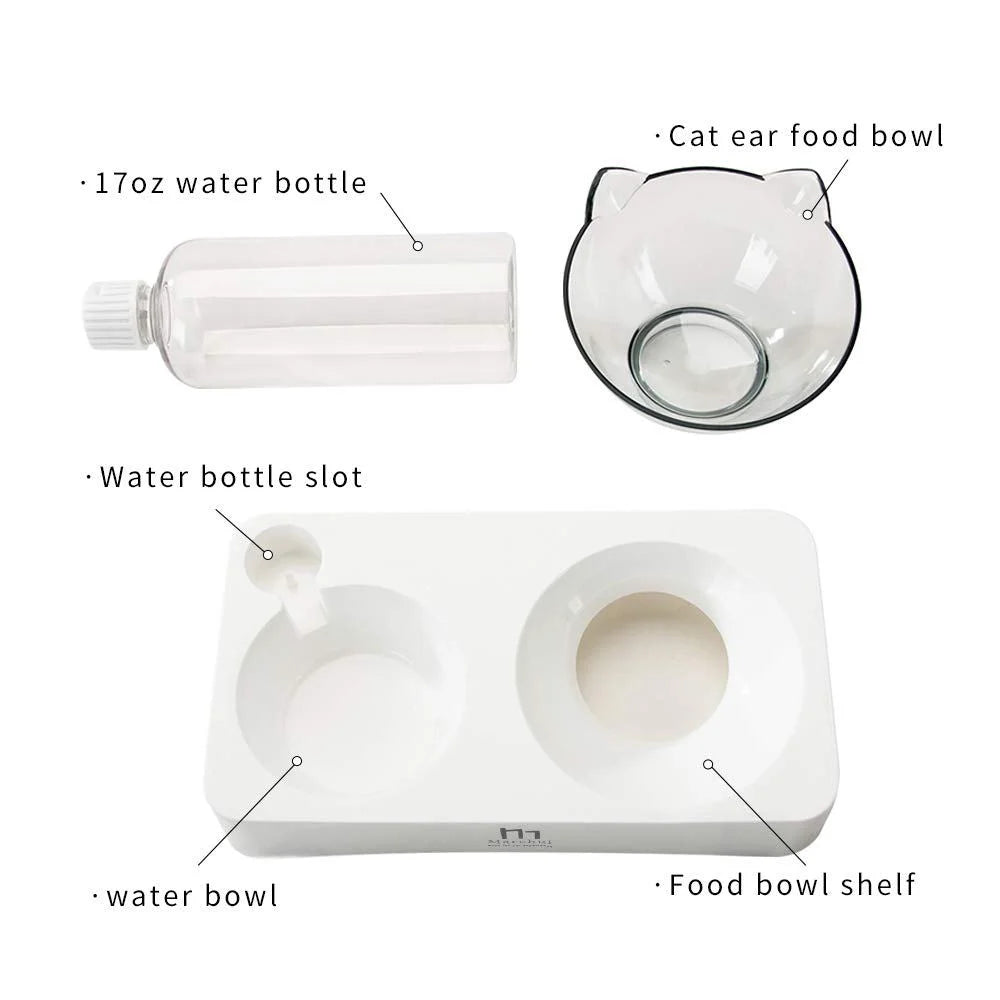 Tilted Raised Cat Food Bowl and Gravity Water Bottle with Feeding Mat