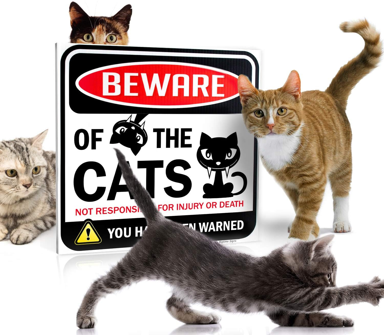 Beware of Cats Sign – Funny Cat Decor for Indoor and Outdoor Use, Window, Office, Bedroom Décor, Gag Gift for Cat Lovers and Decorations