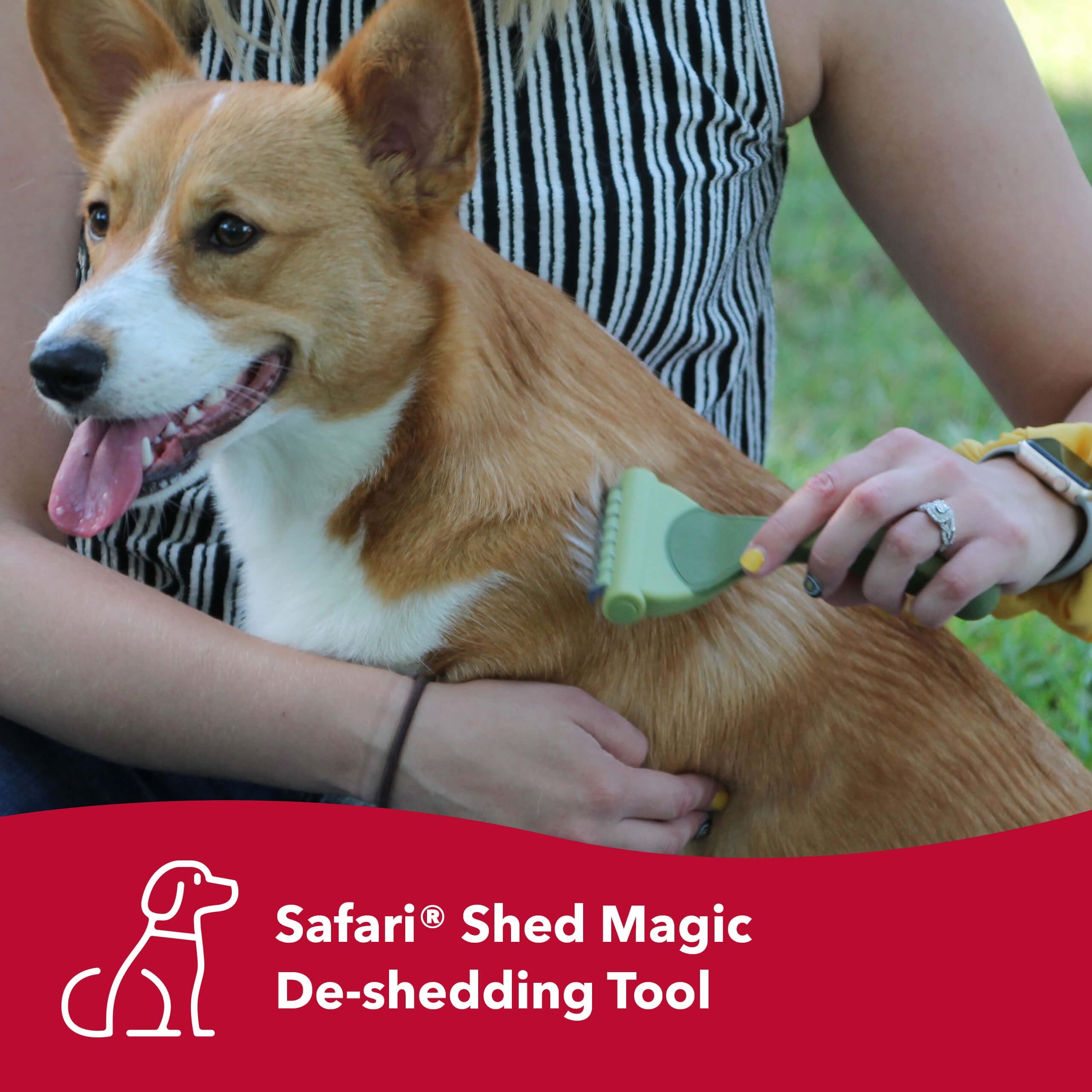 Safari Shed Magic Deshedding Tool for Dogs with Medium to Long Hair - Deshedding & Detangling Dog Brush - Small