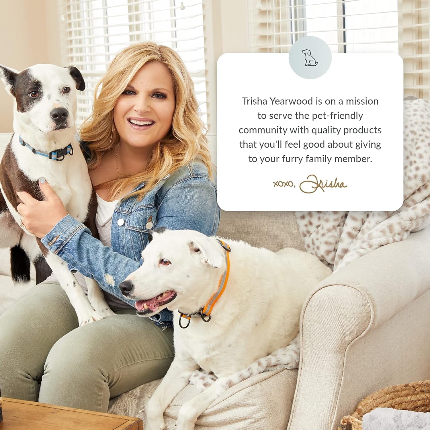 Pet Collection Padded Cute Dog Collar, Leather Dog Collar for Small Dogs, Black, Extra Large