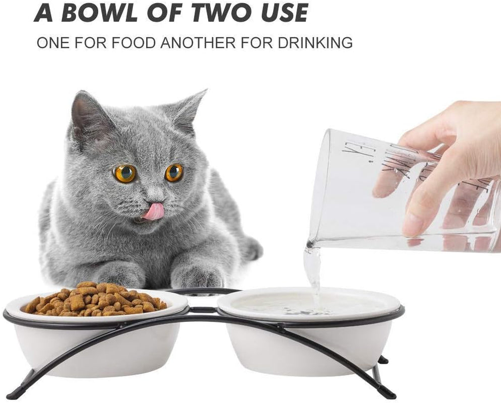 Cat Bowls,Dog Bowls,Ceramic Elevated Pet Raised Cat Food Bowls Set,12 Ounce Cat Bowls with Stand,Dishwasher Safe