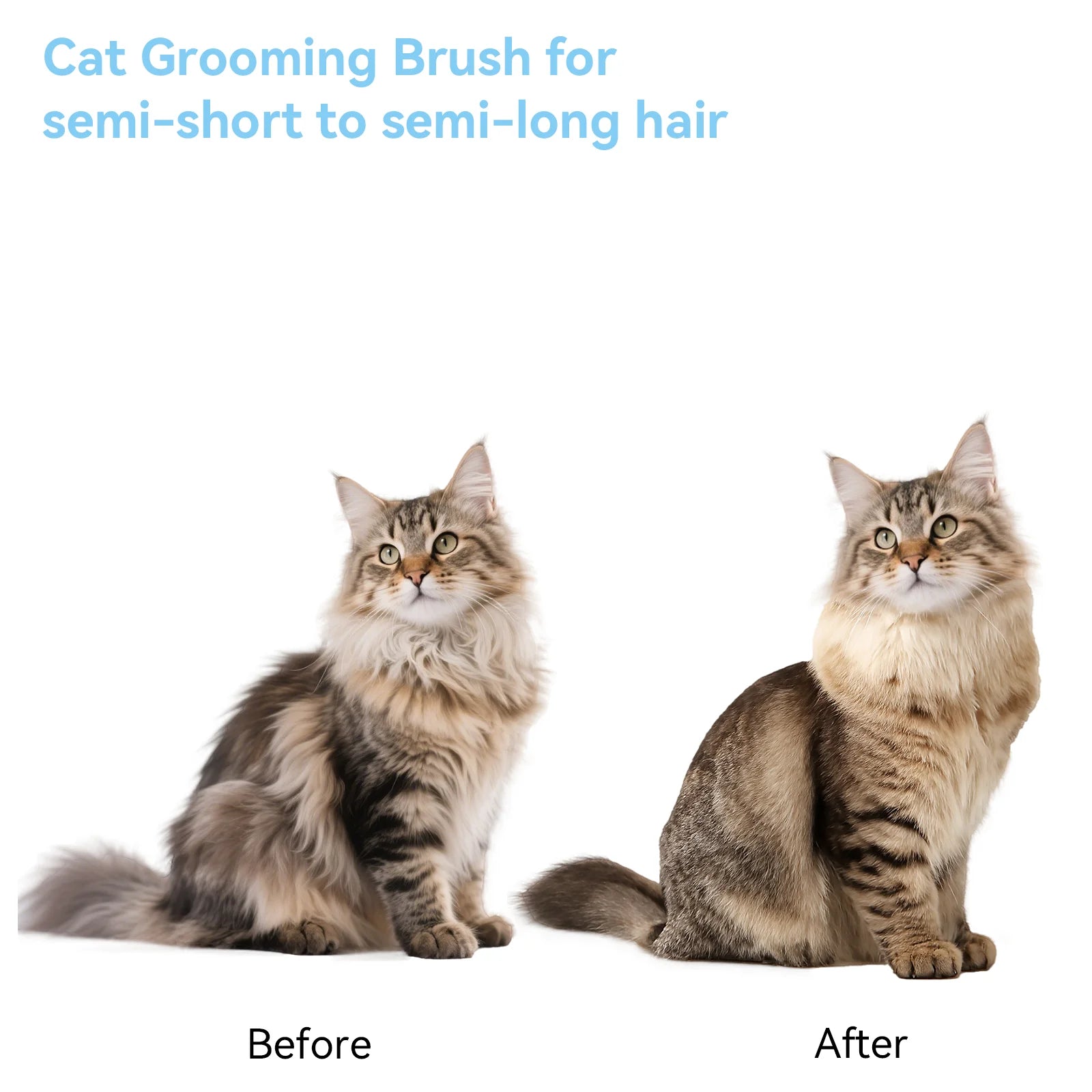 Cat & Dog Grooming Brush – Self-Cleaning Slicker Brush for Shedding, Removes Loose Fur & Tangles, Gentle & Skin-Friendly, Perfect for All Coat Types – Blue