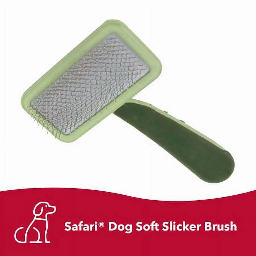Safari Dog Soft Slicker Brush - Dog Grooming Brush for Shedding - for Dogs with Short, Medium and Long Hair - Small - 6.5" X 2.5"