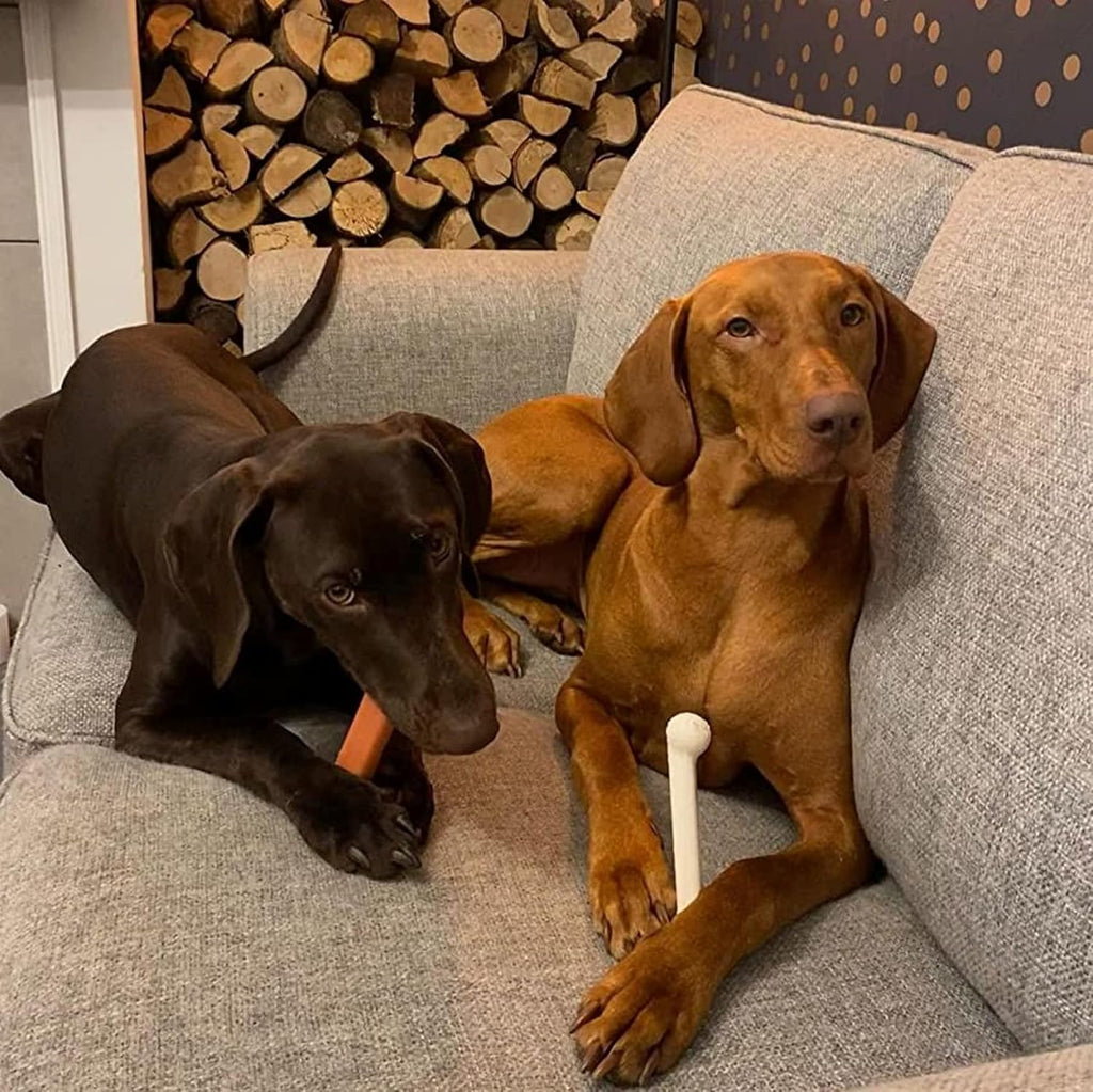 Original Bone Power Chew Toy for Dogs, Durable Dog Toys for Aggressive Chewers, Basted Blast Chicken Flavor, Large - up to 50 Lbs, 2 Pack