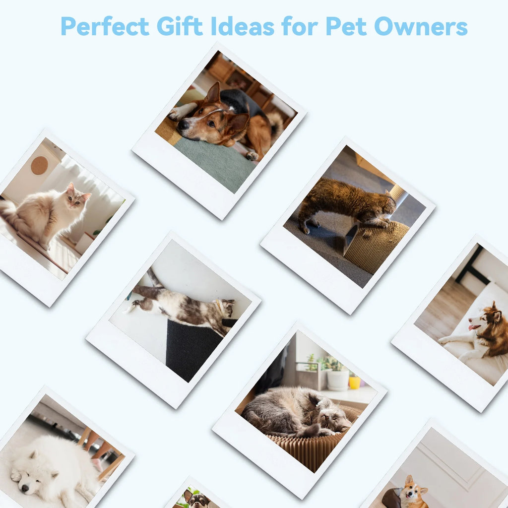 Cat & Dog Grooming Brush – Self-Cleaning Slicker Brush for Shedding, Removes Loose Fur & Tangles, Gentle & Skin-Friendly, Perfect for All Coat Types – Blue