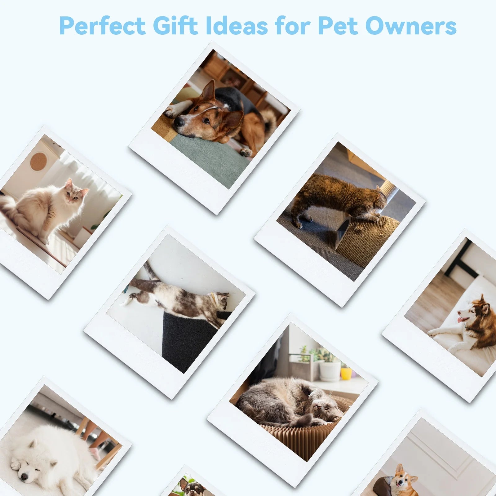 Cat & Dog Grooming Brush – Self-Cleaning Slicker Brush for Shedding, Removes Loose Fur & Tangles, Gentle & Skin-Friendly, Perfect for All Coat Types – Blue