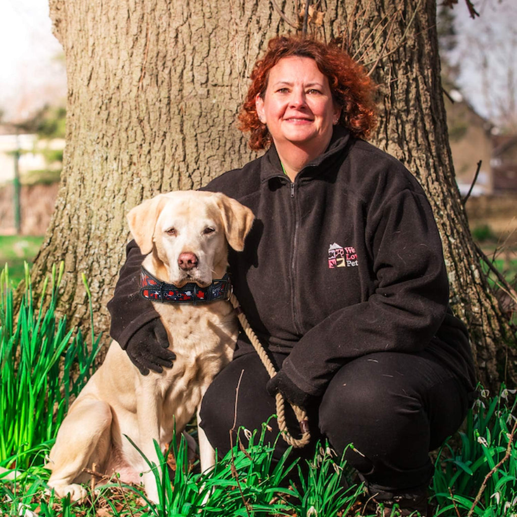 Dog Collar for Large Dogs,Reflective Dog Collar Soft Lining Padded Dog Collar & Heavy Duty Metal Buckle 2" Width Dog Collar for Medium Large Dog Walking Training Adjustable Length